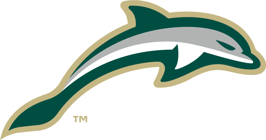 Jacksonville Dolphins 2018-Pres Secondary Logo v3 diy DTF decal sticker